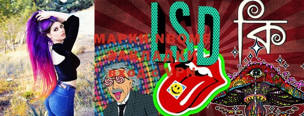 спиды Магас