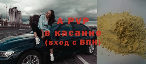 спиды Магас