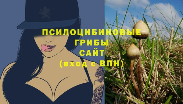 ALPHA PVP Магадан