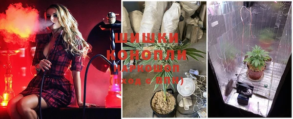спиды Магас