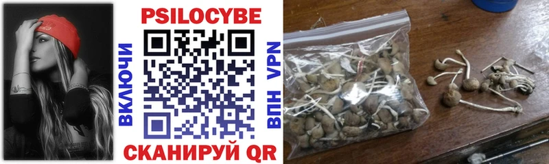 наркотики  Омск  даркнет наркотические препараты  Галлюциногенные грибы Psilocybe  ссылка на мегу онион 